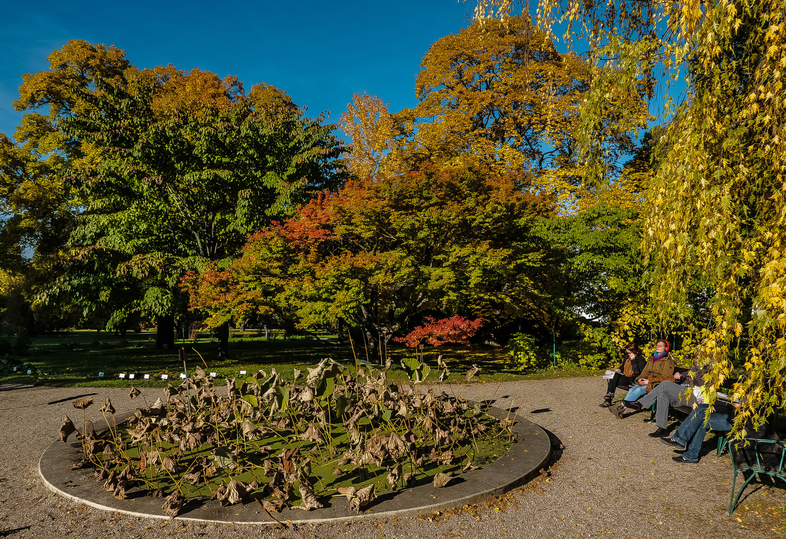 Herbst im Botanischen Garten