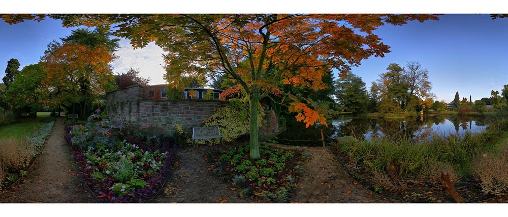 Herbst im botanischen Garten