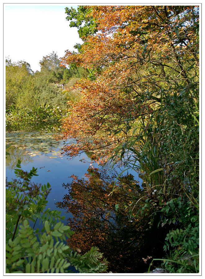 Herbst im Botanischen Garten - 2