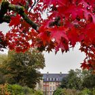 Herbst im Botanischen Garten