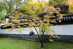 Herbst im Botanischen Garten