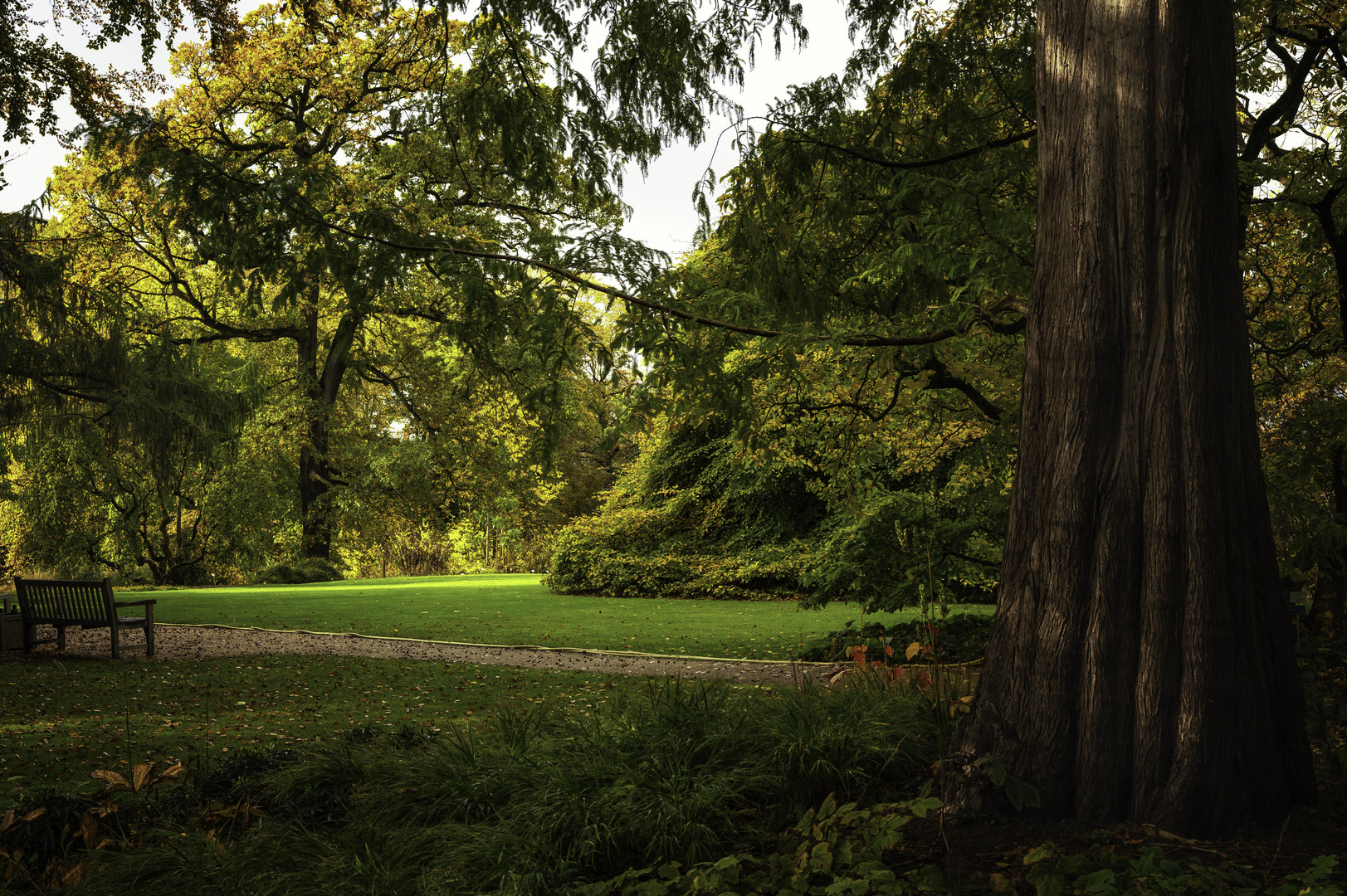 Herbst im Botanischen Garten