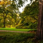 Herbst im Botanischen Garten