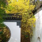 Herbst im Botanischen Garten