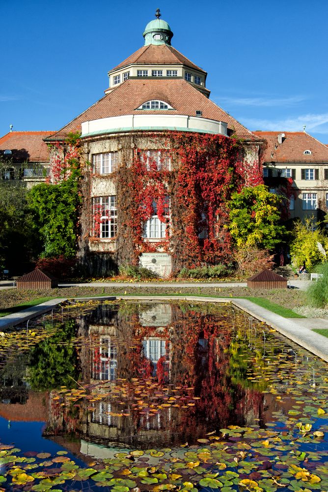 Herbst im botanischen Garten