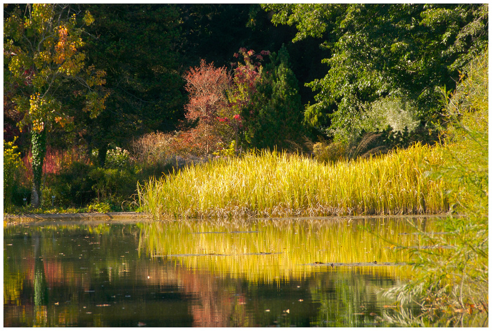 Herbst im Botanischen Garten