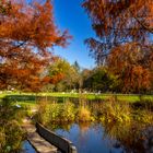 Herbst im Botanischen Garten