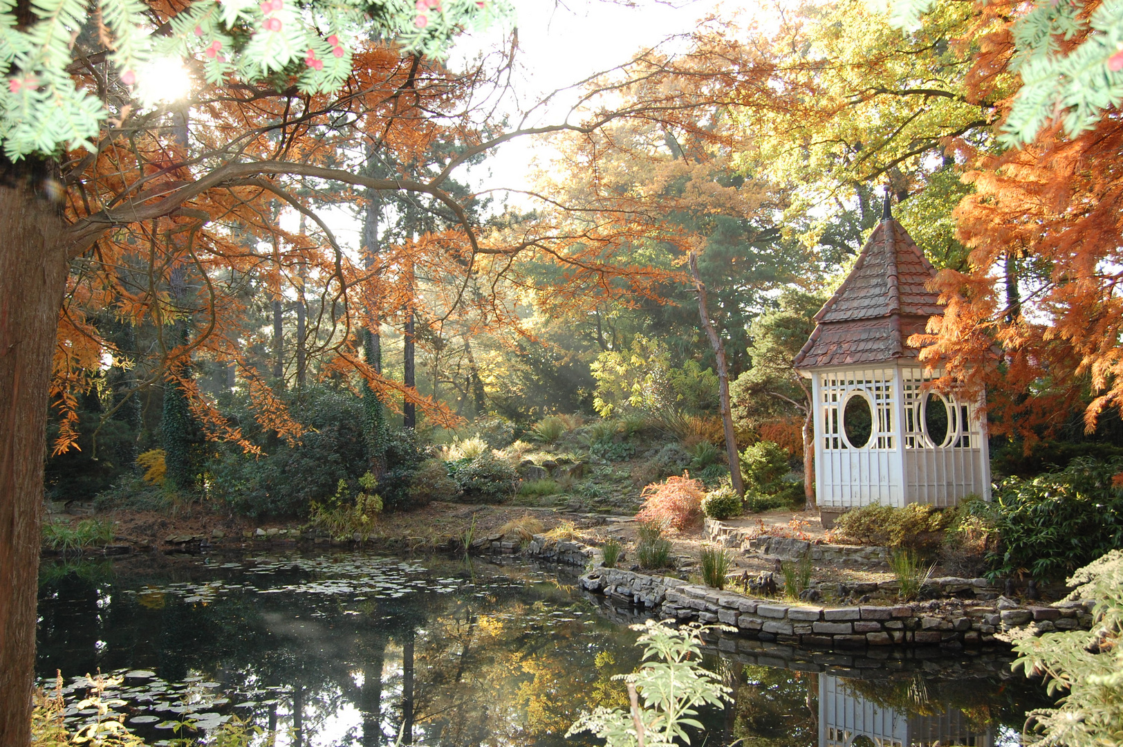 herbst im botanischen garten herzberg