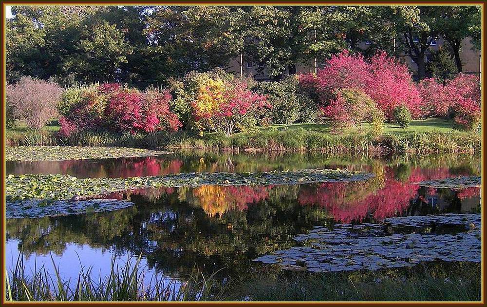 Herbst im Botanischen Garten in Berlin