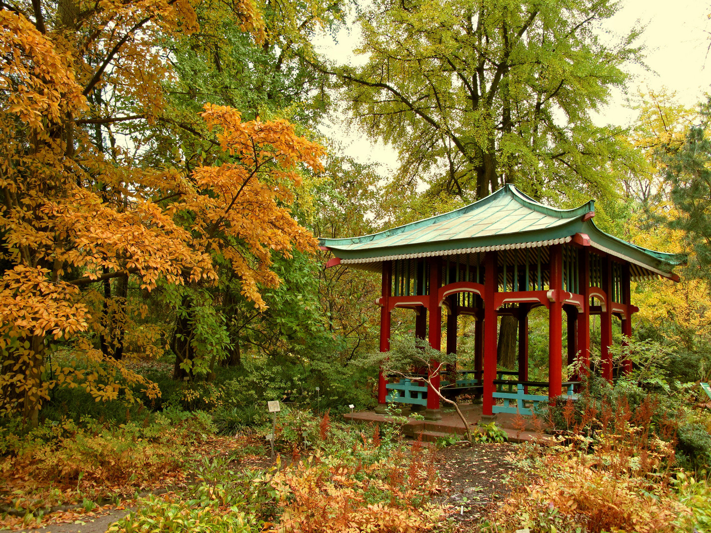 Herbst im Botanischen Garten in Berlin