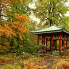 Herbst im Botanischen Garten in Berlin