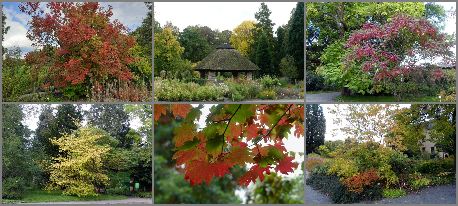 Herbst im Botanischen Garten in Dresden