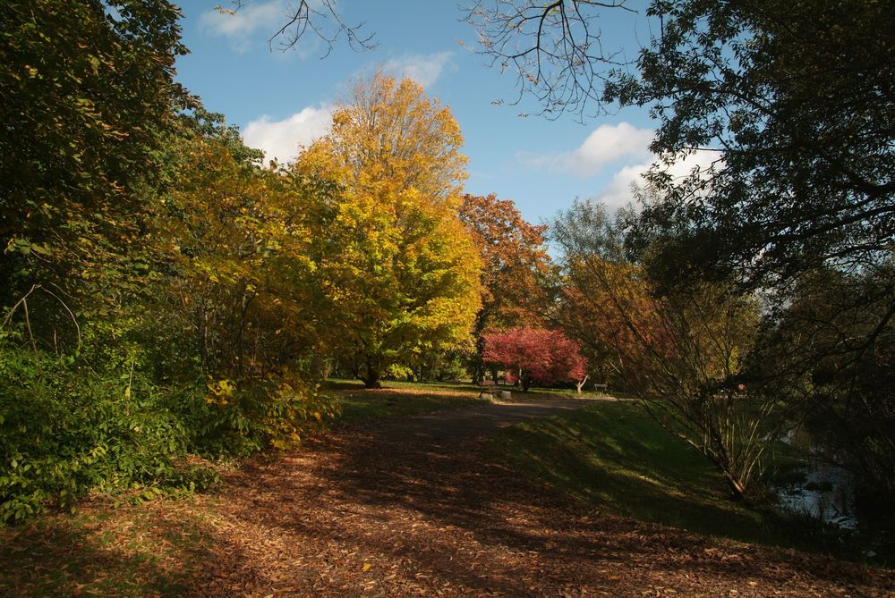 Herbst im &quot;Botanischen Garten&quot; in Rostock Foto &amp; Bild
