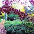 Herbst im Botanischen Garten Köln