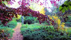 Herbst im Botanischen Garten Köln