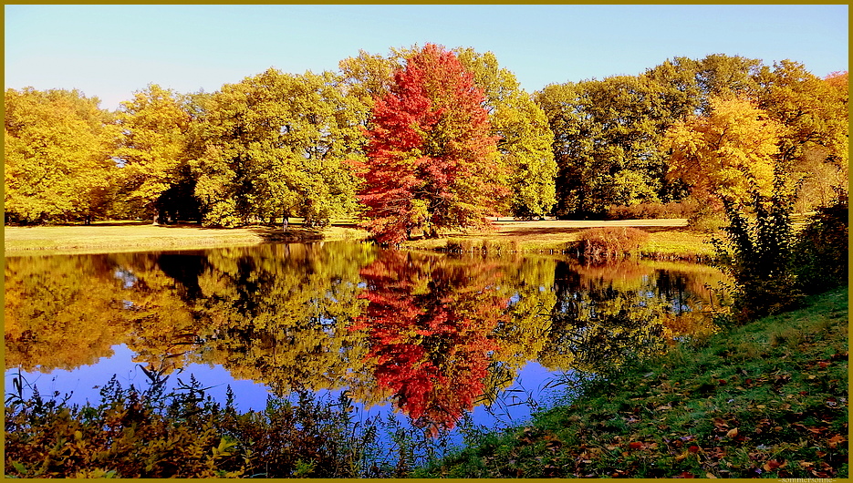 Herbst im Branitzer Park