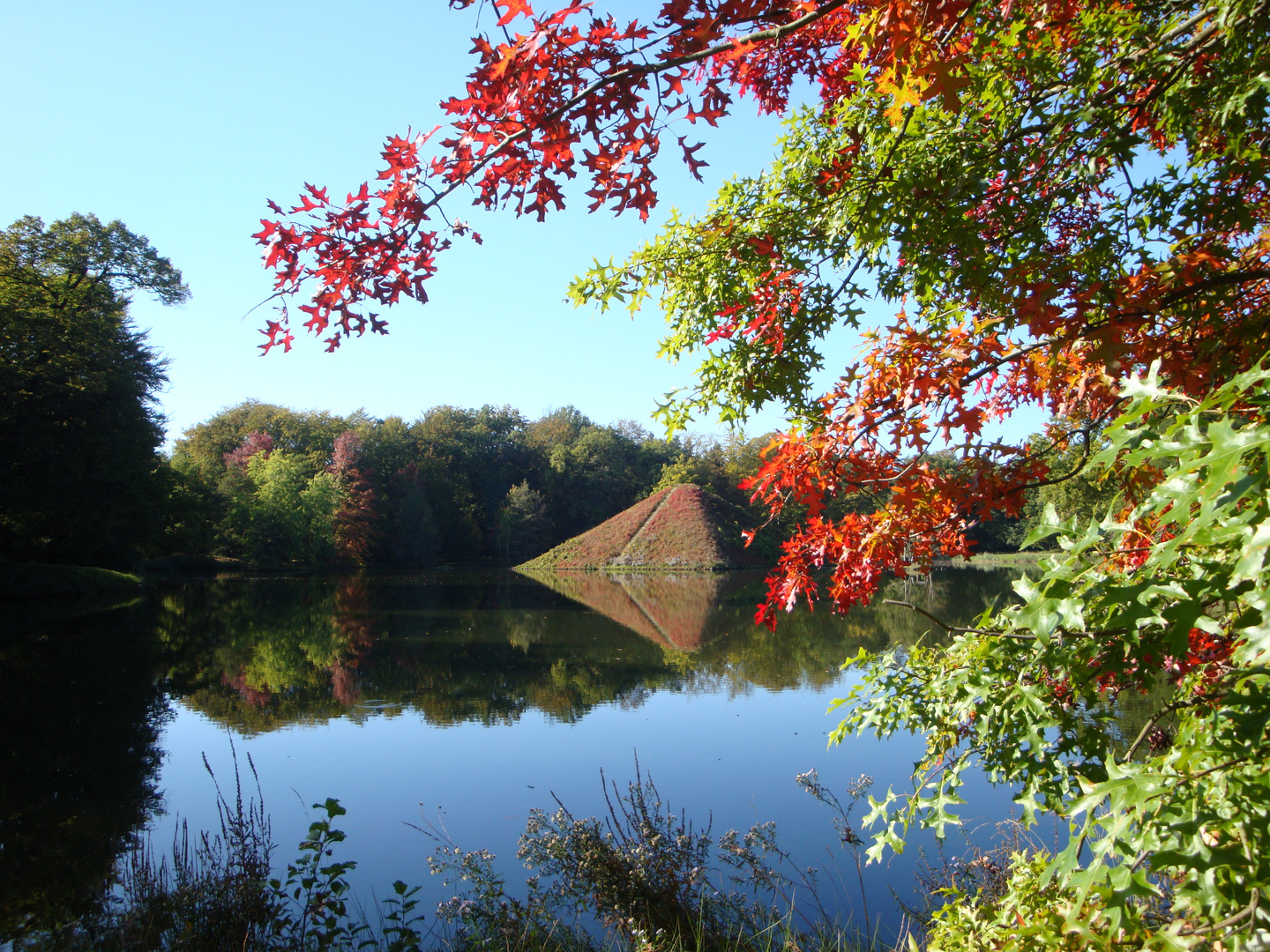 Herbst im Branitzer Park