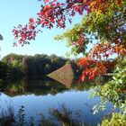 Herbst im Branitzer Park