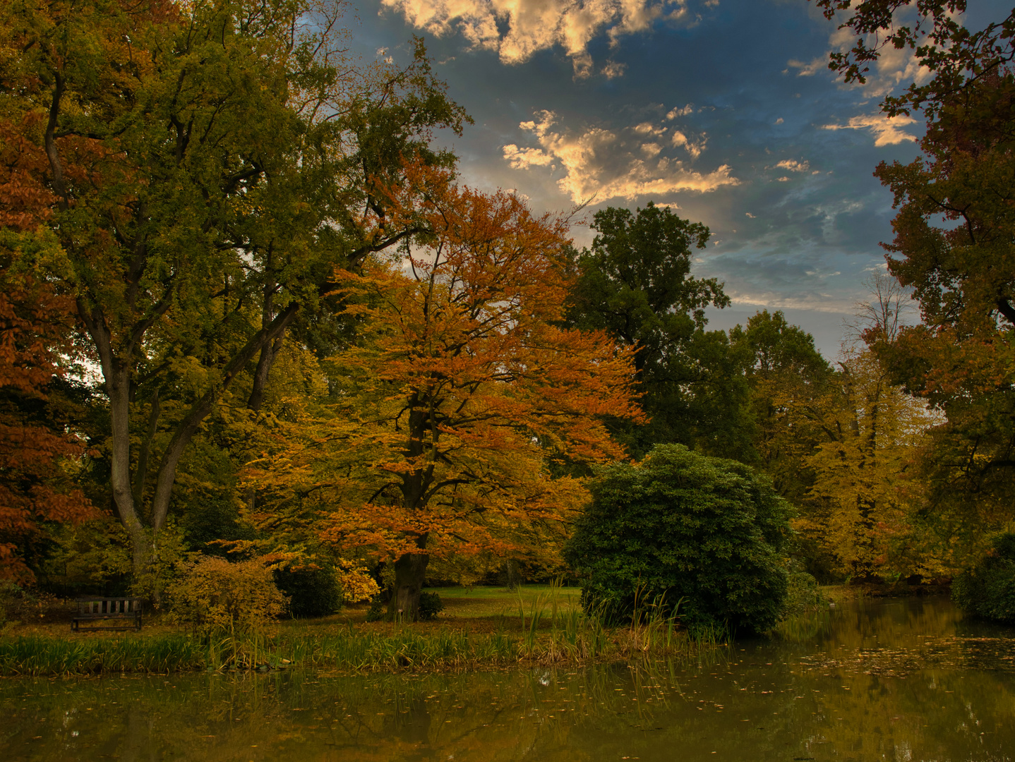 Herbst im Breidingsgarten, Soltau