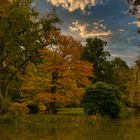 Herbst im Breidingsgarten, Soltau