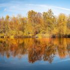 Herbst im Breitformat