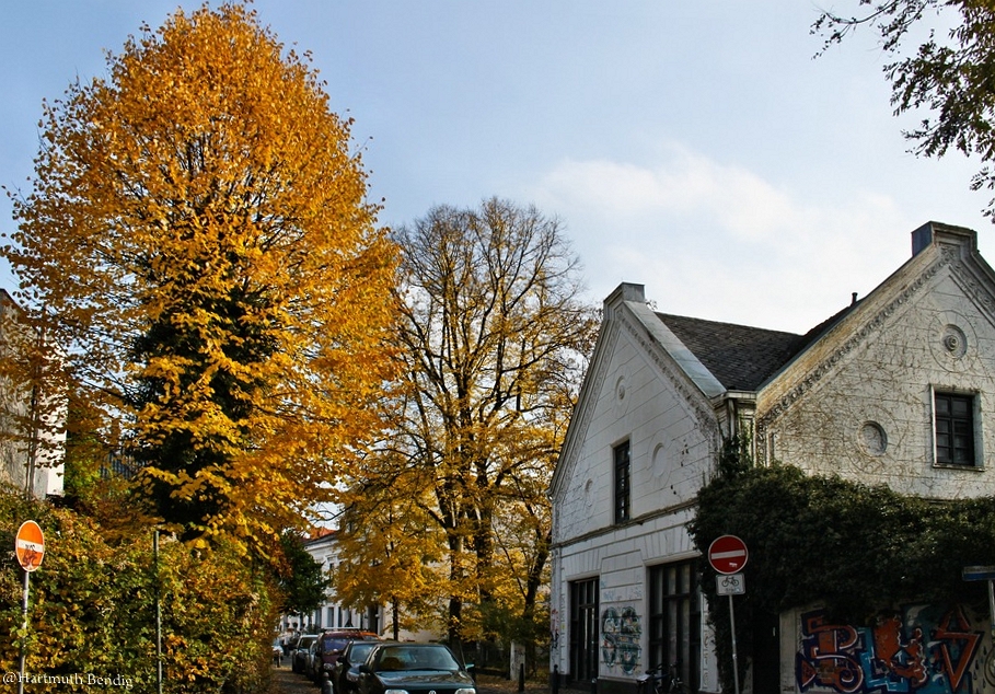 Herbst im Bremer Viertel
