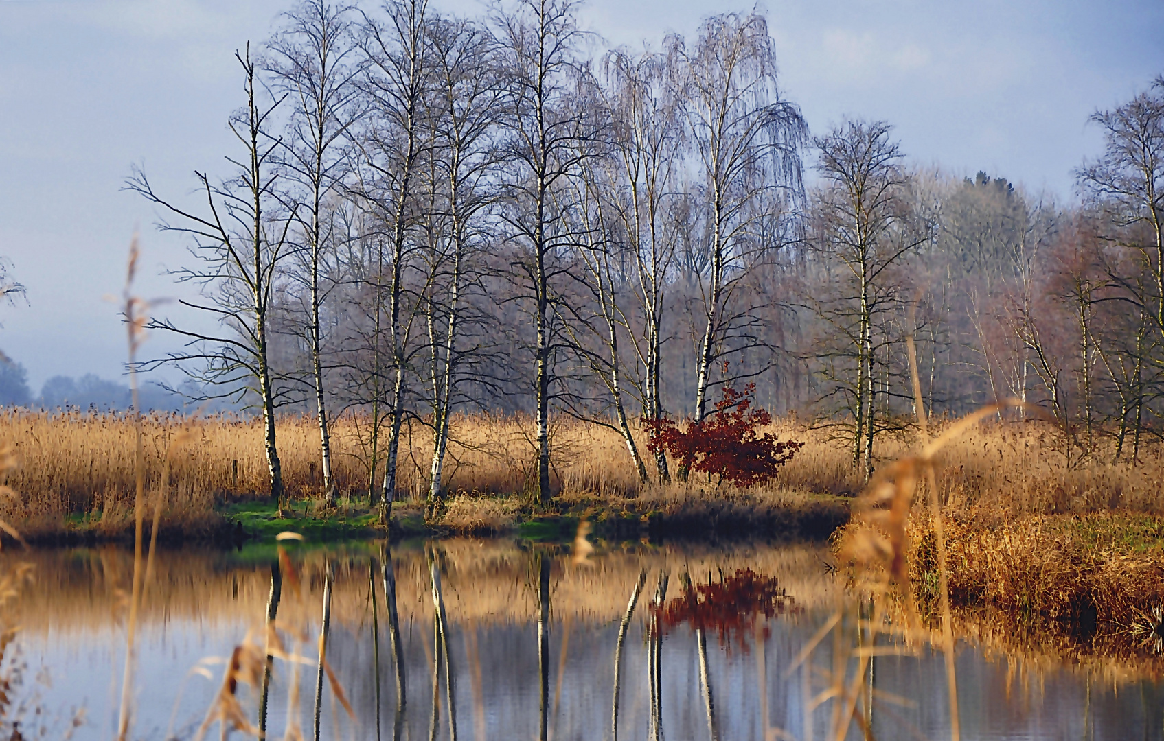 Herbst im Brenner Moor