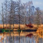 Herbst im Brenner Moor