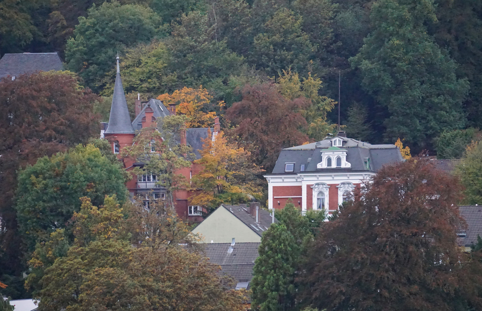 Herbst im Brill