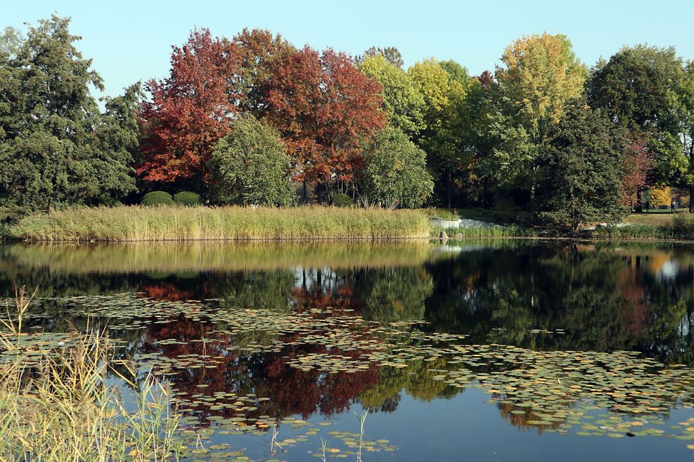Herbst im Britzer Garten (01) Foto & Bild berlin, natur, herbst