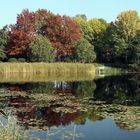 Herbst im Britzer Garten (01)