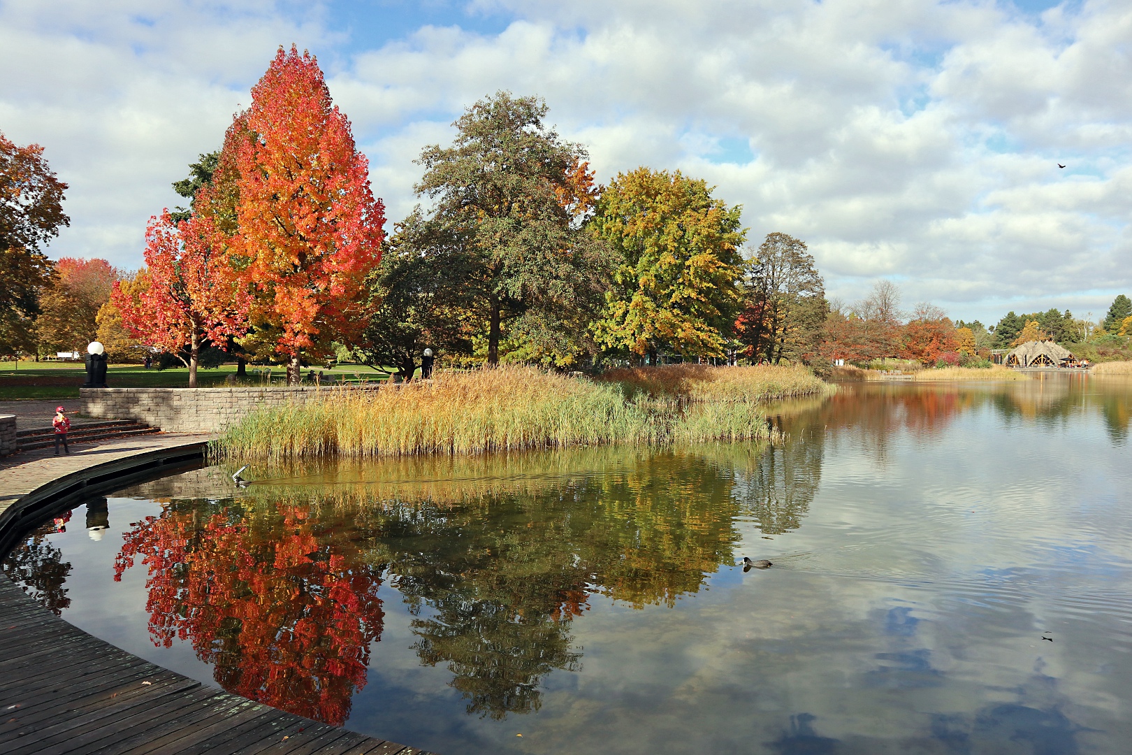 Herbst im Britzer Garten (01)