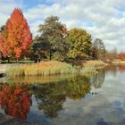 Herbst im Britzer Garten (01)