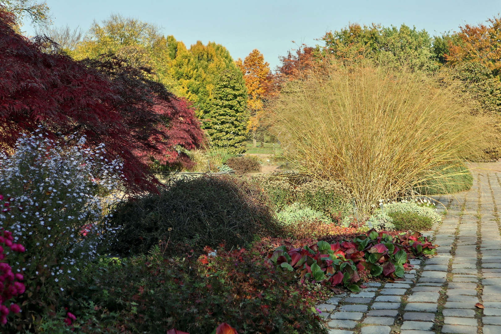 Herbst im Britzer Garten (02)