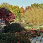 Herbst im Britzer Garten (02)