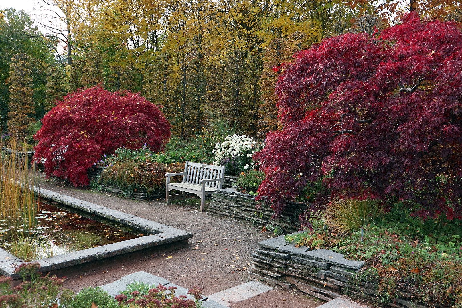 Herbst im Britzer Garten (03)