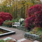 Herbst im Britzer Garten (03)