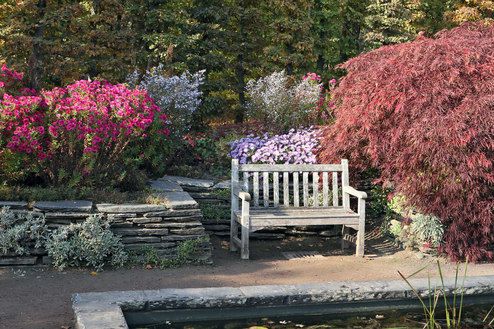 Herbst im Britzer Garten (03)