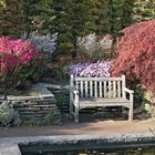 Herbst im Britzer Garten (03)