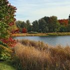 Herbst im Britzer Garten 