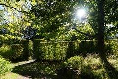 Herbst im Britzer Garten