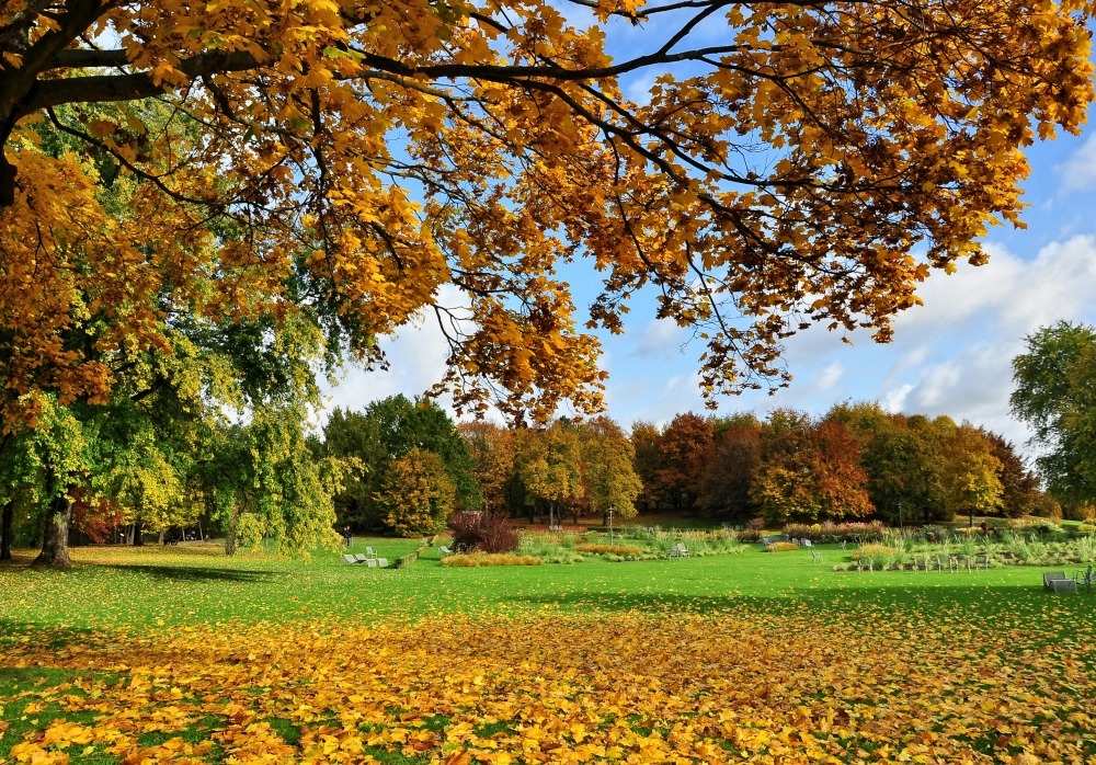 Herbst im Britzer Garten.....