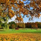 Herbst im Britzer Garten.....