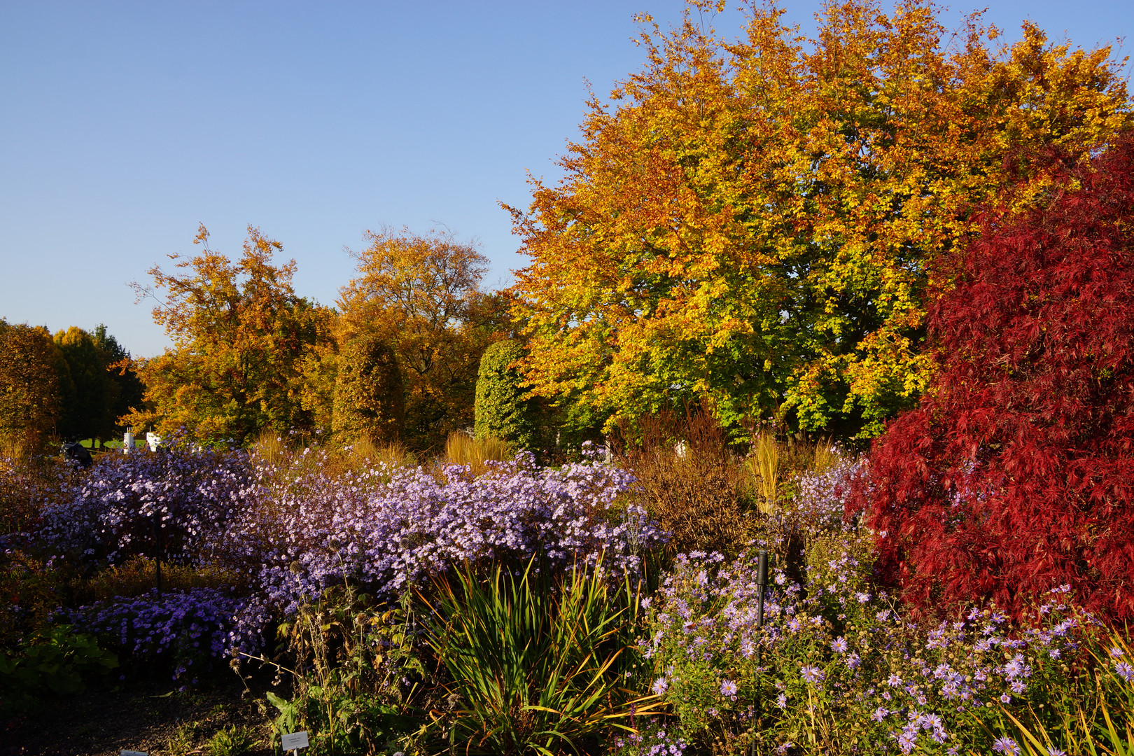 Herbst im Britzer Garten (2)