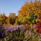 Herbst im Britzer Garten (2)