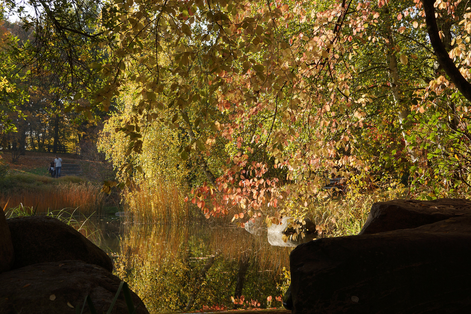 Herbst im Britzer Garten (3)