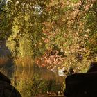 Herbst im Britzer Garten (3)