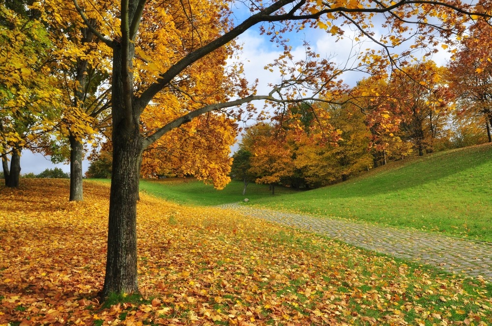 Herbst im Britzer Garten….. Foto & Bild jahreszeiten
