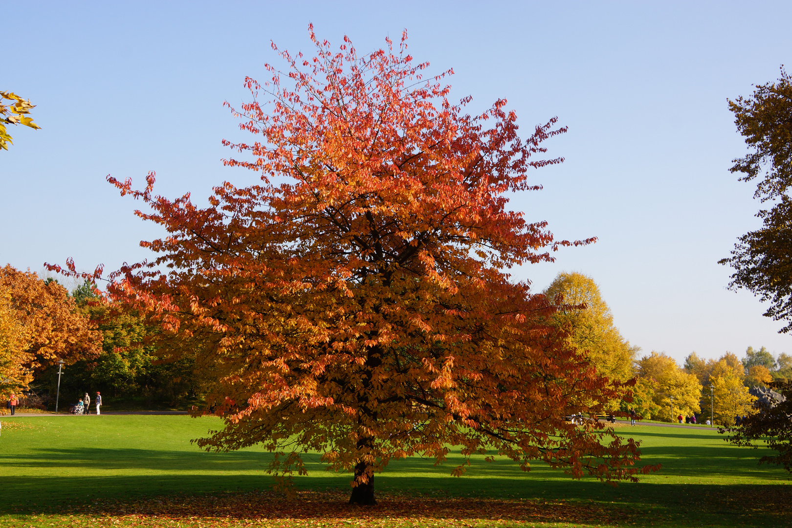 Herbst im Britzer Garten (4)