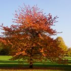 Herbst im Britzer Garten (4)